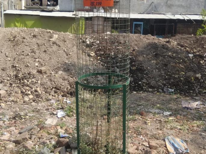 'Water' to dried plants; 13 crore trees plantation scheme in trouble | सुकलेल्या झाडांना पालिकेचे ‘पाणी’; १३ कोटी वृक्ष लागवड योजना वांद्यात 'Water' to dried plants; 13 crore trees plantation scheme in trouble | सुकलेल्या झाडांना पालिकेचे ‘पाणी’; १३ कोटी वृक्ष लागवड योजना वांद्यात