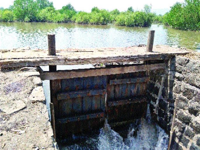 150 crores expenditure is expected for the repair, private Kharbandi scheme | डागडुजीसाठी १५० कोटींचा खर्च अपेक्षित, खासगी खारभूमी योजना 150 crores expenditure is expected for the repair, private Kharbandi scheme | डागडुजीसाठी १५० कोटींचा खर्च अपेक्षित, खासगी खारभूमी योजना