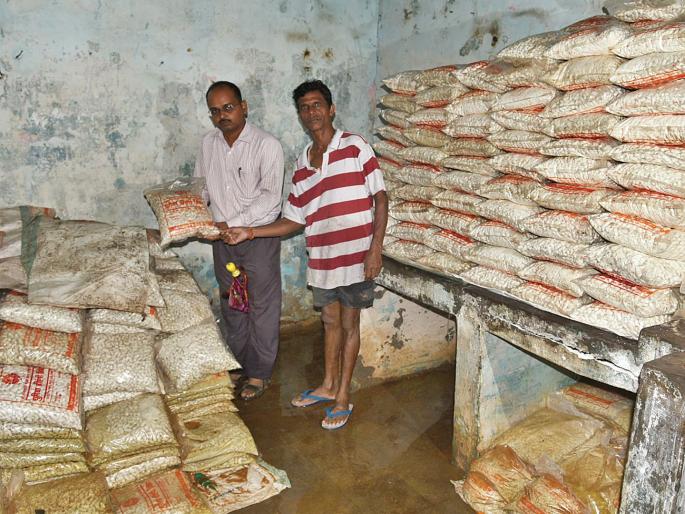 Loss of millions at salt land research center | खार जमीन संशोधन केंद्रात लाखोंचे नुकसान; पाच हेक्टरवरील भात रोपांची नासाडी Loss of millions at salt land research center | खार जमीन संशोधन केंद्रात लाखोंचे नुकसान; पाच हेक्टरवरील भात रोपांची नासाडी