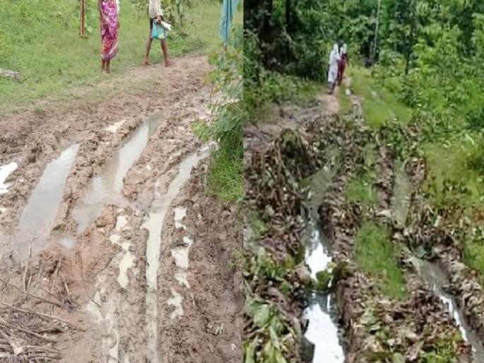 gadchiroli : Bad road killed tribal pregnant woman | खराब रस्त्याने घेतला गर्भवती महिलेचा जीव; प्रसूतीसाठी नेताना वाटेतच मृत्यू gadchiroli : Bad road killed tribal pregnant woman | खराब रस्त्याने घेतला गर्भवती महिलेचा जीव; प्रसूतीसाठी नेताना वाटेतच मृत्यू