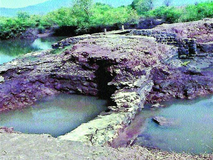 Before the MIDC office, make mud of pancakes | एमआयडीसी कार्यालयासमोर भातशेतीतला चिखल टाकू Before the MIDC office, make mud of pancakes | एमआयडीसी कार्यालयासमोर भातशेतीतला चिखल टाकू