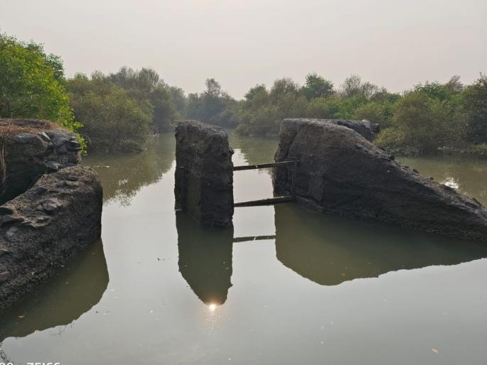 Due to the unforgivable neglect of the Kharbhumi department, the construction has repeatedly collapsed | खारभुमी विभागाच्या अक्षम्य दुर्लक्षामुळेच बांधबंदिस्ती वारंवार उध्वस्त Due to the unforgivable neglect of the Kharbhumi department, the construction has repeatedly collapsed | खारभुमी विभागाच्या अक्षम्य दुर्लक्षामुळेच बांधबंदिस्ती वारंवार उध्वस्त