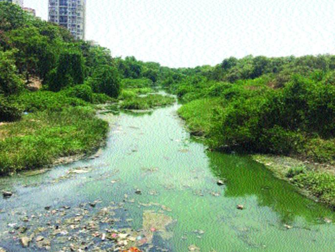 Flood risk to CBD due to thorns | खारफुटीमुळे सीबीडीला पुराचा धोका Flood risk to CBD due to thorns | खारफुटीमुळे सीबीडीला पुराचा धोका