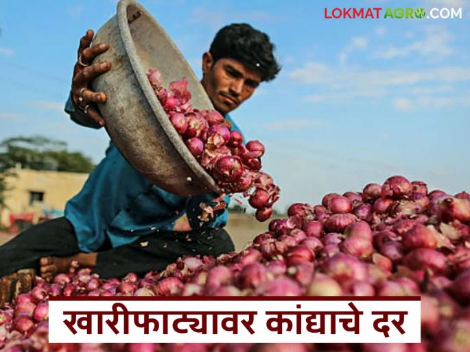 latest News Kanda Market arrival of red onions has started increasing at Khariphata in Nashik | नाशिकच्या खारीफाट्यावर लाल कांद्याची आवक वाढू लागली, काय दर मिळतोय? 