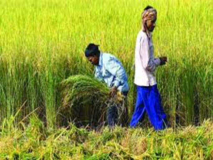 Curfew will not affect kharif crops ; Proper preparation of agriculture department | खरीपावर संचारबंदीचा परिणाम होणार नाही; कृषिविभागाची जय्यत तयारी Curfew will not affect kharif crops ; Proper preparation of agriculture department | खरीपावर संचारबंदीचा परिणाम होणार नाही; कृषिविभागाची जय्यत तयारी