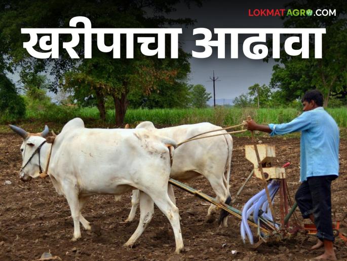 The compensation assistance to the farmers will be distributed immediately | शेतकऱ्यांना नुकसान भरपाईच्या मदतीचे वाटप तातडीने होणार The compensation assistance to the farmers will be distributed immediately | शेतकऱ्यांना नुकसान भरपाईच्या मदतीचे वाटप तातडीने होणार
