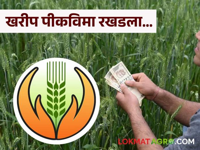 latest news Crop Insurance Delay: 42 thousand farmers are waiting; 27 crores of crop insurance is still pending | Crop Insurance Delay : ४२ हजार शेतकरी प्रतीक्षेत; पीकविम्याचे २७ कोटी अजूनही रखडले