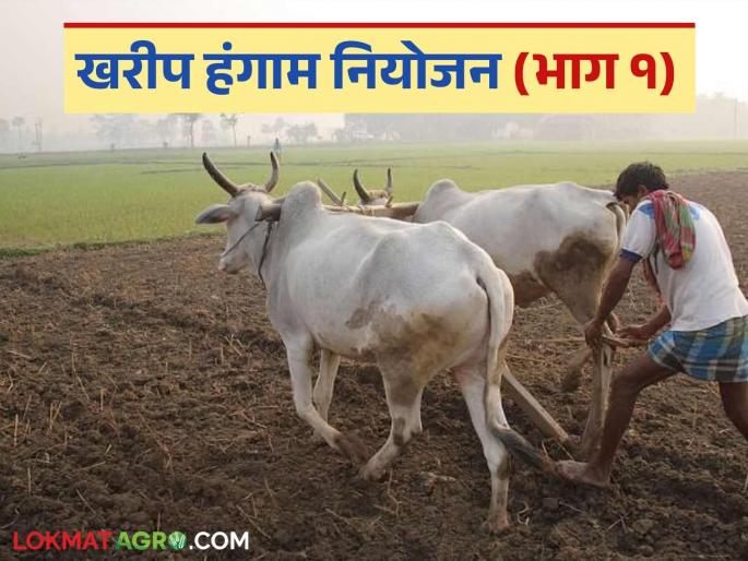 Kharif Season: latest news 'So many' hectares of Kharif sowing area proposed! Read the Kharif planning of 'this' district in detail | Kharif Season: खरीप पेरणीचे 'इतके' हेक्टरवर क्षेत्र प्रस्तावित! वाचा 'या' जिल्ह्याचे खरीप नियोजन सविस्तर Kharif Season: latest news 'So many' hectares of Kharif sowing area proposed! Read the Kharif planning of 'this' district in detail | Kharif Season: खरीप पेरणीचे 'इतके' हेक्टरवर क्षेत्र प्रस्तावित! वाचा 'या' जिल्ह्याचे खरीप नियोजन सविस्तर