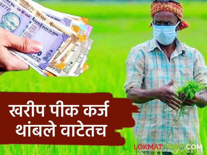 Crop Loan: farmer not get crop loan yet in this kharif session | Crop Loan : हंगाम संपला तरी सावकाराचे उंबरठे शेतकरी झिजवतोय; प्रशासनाच्या निर्देशाला व्यापारी बँकांचा कोलदांडा Crop Loan: farmer not get crop loan yet in this kharif session | Crop Loan : हंगाम संपला तरी सावकाराचे उंबरठे शेतकरी झिजवतोय; प्रशासनाच्या निर्देशाला व्यापारी बँकांचा कोलदांडा