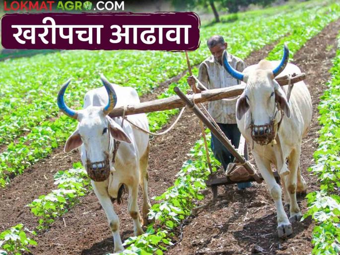 Kharif Planning; Agriculture Minister reviewed pre-Kharif season planning | Kharif Planning कृषीमंत्र्यांनी घेतला खरीप हंगाम पूर्व नियोजनाचा आढावा Kharif Planning; Agriculture Minister reviewed pre-Kharif season planning | Kharif Planning कृषीमंत्र्यांनी घेतला खरीप हंगाम पूर्व नियोजनाचा आढावा