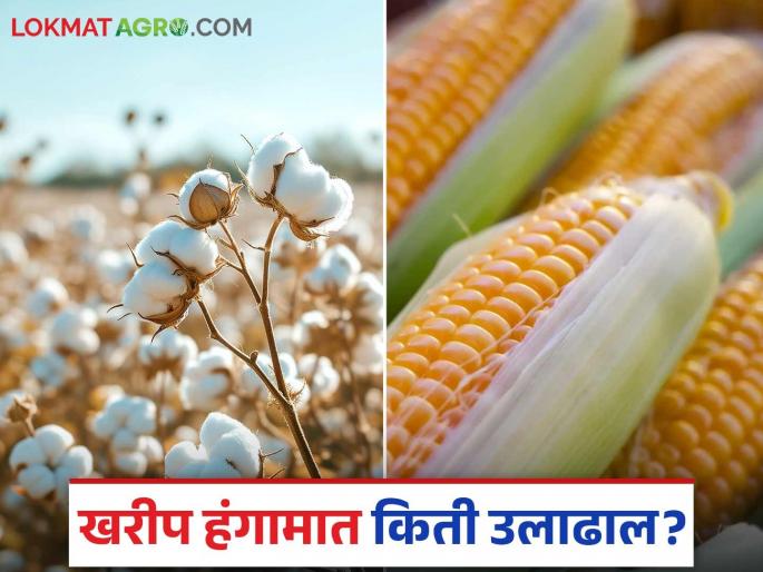 Kharif Season: latest news Turnover of Rs 300 crores for this year's Kharif season Read in detail | Kharif Season : यंदा खरीप हंगामासाठी ३०० कोटींची उलाढाल वाचा सविस्तर Kharif Season: latest news Turnover of Rs 300 crores for this year's Kharif season Read in detail | Kharif Season : यंदा खरीप हंगामासाठी ३०० कोटींची उलाढाल वाचा सविस्तर