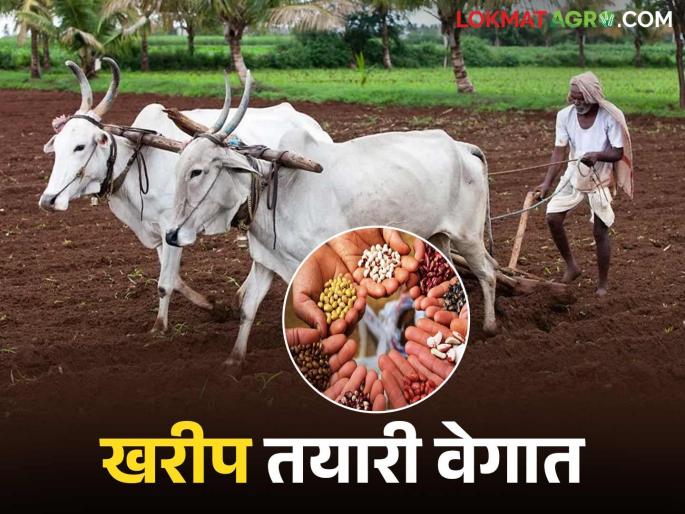 latest news Kharif Season Update: Farmers respond spontaneously to seed purchases, fertilizer sales also increase Read in detail | Kharif Season Update : शेतकऱ्यांचा बियाणे खरेदीला उस्फूर्त प्रतिसाद, खत विक्रीही वेगात वाचा सविस्तर