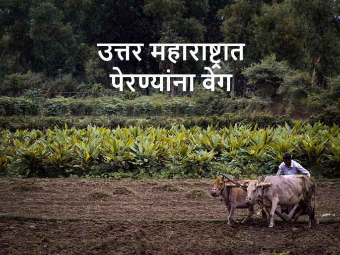 Monsoon Kharif season sowing took speed in Nashik, Jalgaon | Monsoon: नाशिक जळगावमध्ये पाऊस, गिरणा खळाळली, पेरण्यांनाही आला वेग Monsoon Kharif season sowing took speed in Nashik, Jalgaon | Monsoon: नाशिक जळगावमध्ये पाऊस, गिरणा खळाळली, पेरण्यांनाही आला वेग