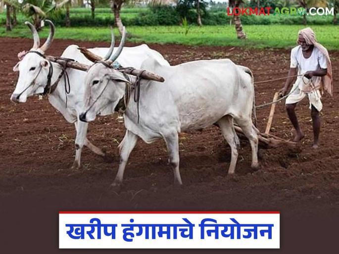 latest news Kharif Season: Kharif 2025: Intensive preparations for soybean sowing in Latur district! Read in detail | Kharif Season: खरीप 2025: लातूर जिल्ह्यात सोयाबीन पेरणीची जोरदार तयारी! वाचा सविस्तर latest news Kharif Season: Kharif 2025: Intensive preparations for soybean sowing in Latur district! Read in detail | Kharif Season: खरीप 2025: लातूर जिल्ह्यात सोयाबीन पेरणीची जोरदार तयारी! वाचा सविस्तर