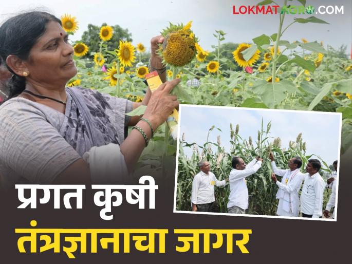 latest news Kharif Shivar Feri Akola: Awakening of agricultural technology: Advanced technology is useful for farmers Read in detail | Kharif Shivar Feri Akola : कृषी तंत्रज्ञानाचा जागर: प्रगत तंत्रज्ञान शेतकऱ्यांसाठी उपयुक्त वाचा सविस्तर latest news Kharif Shivar Feri Akola: Awakening of agricultural technology: Advanced technology is useful for farmers Read in detail | Kharif Shivar Feri Akola : कृषी तंत्रज्ञानाचा जागर: प्रगत तंत्रज्ञान शेतकऱ्यांसाठी उपयुक्त वाचा सविस्तर