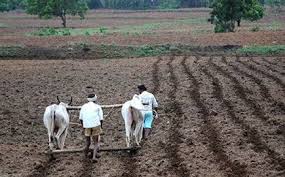 Kharif sowing planning as per the rainfall estimation | पावसाच्या अंदाजानुसार खरिपाच्या पेरणीचे नियोजन Kharif sowing planning as per the rainfall estimation | पावसाच्या अंदाजानुसार खरिपाच्या पेरणीचे नियोजन