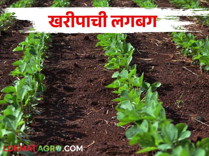 Preparation for Kharif from 25th May Rohini Nakshatra will rain? | तयारी खरीपाची; २५ मे पासून रोहिणी नक्षत्र पाऊस येईल? Preparation for Kharif from 25th May Rohini Nakshatra will rain? | तयारी खरीपाची; २५ मे पासून रोहिणी नक्षत्र पाऊस येईल?