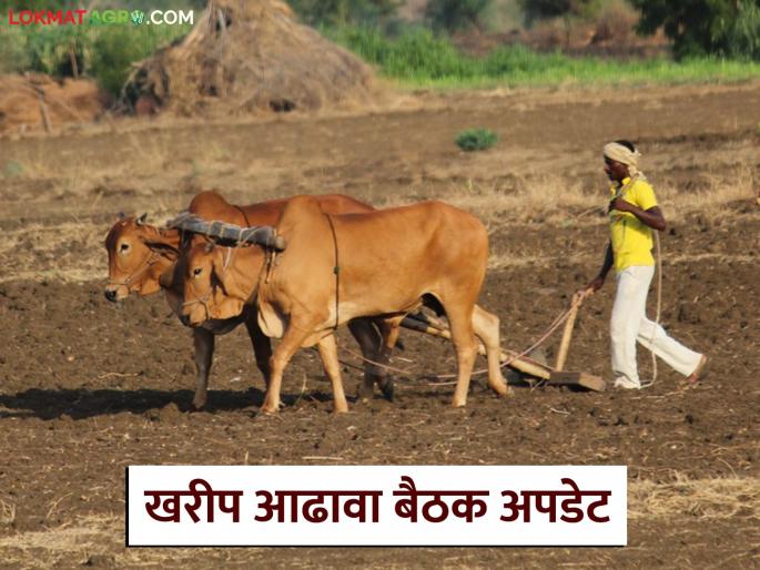 These five important decisions were taken at the state-level Kharif review meeting; Know the details | राज्यस्तरीय खरीप आढावा बैठकीत घेतले हे पाच महत्वपूर्ण निर्णय; जाणून घ्या सविस्तर