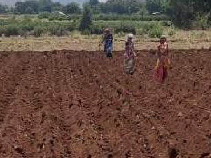 Demand of about 45 thousand quintal seeds for Kharif season from Satara Agriculture Department | कृषी विभागाचे खरीप नियोजन; साताऱ्यातील शेतकऱ्यांसमोर दुष्काळी सावट  Demand of about 45 thousand quintal seeds for Kharif season from Satara Agriculture Department | कृषी विभागाचे खरीप नियोजन; साताऱ्यातील शेतकऱ्यांसमोर दुष्काळी सावट