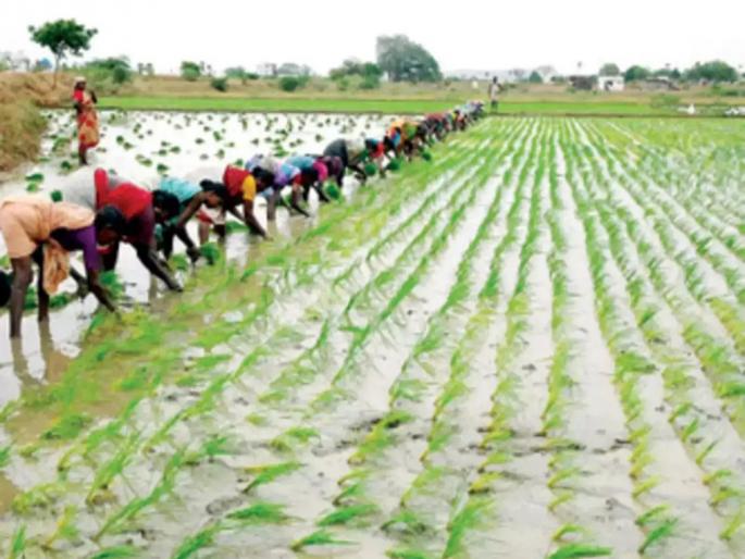 pimpari-chinchwad Farmers will face inflation in the coming Kharif season | शेतकऱ्यांना खरिपाच्या तोंडावर बसणार महागाईची झळ pimpari-chinchwad Farmers will face inflation in the coming Kharif season | शेतकऱ्यांना खरिपाच्या तोंडावर बसणार महागाईची झळ