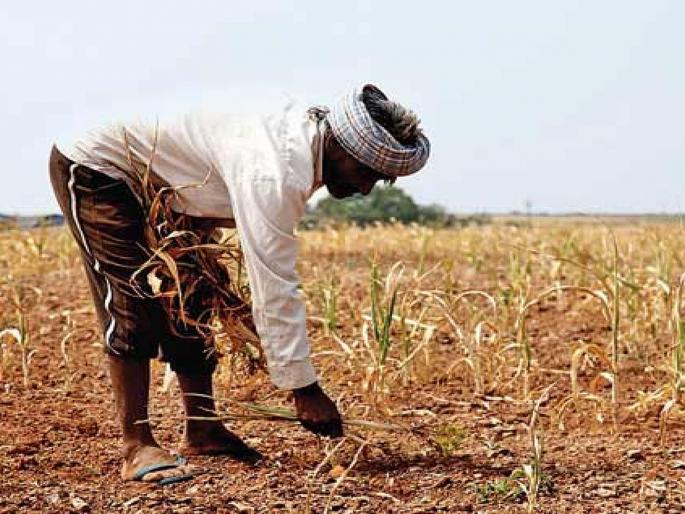 Kharif crops will be cultivated on 66 thousand hectares in the district | जिल्ह्यात यंदा ६६ हजार हेक्टरवर होणार खरीप पिकांची लागवड