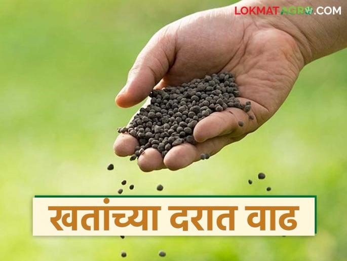 Chemical fertilizer prices have increased again; by how much has the price of which fertilizer increased? | रासायनिक खतांच्या दरामध्ये झाली पुन्हा वाढ; कोणत्या खताच्या किंमतीत किती रुपयाने वाढ?