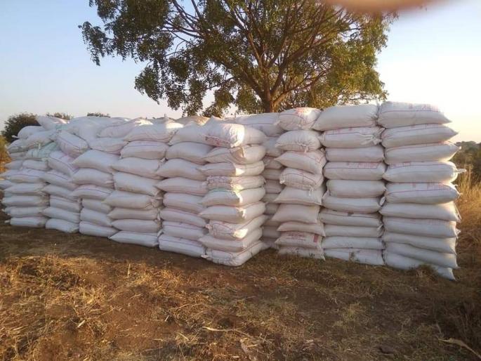 Artificial scarcity of Malegaon urea | मालेगावी युरियाची कृत्रिम टंचाई Artificial scarcity of Malegaon urea | मालेगावी युरियाची कृत्रिम टंचाई