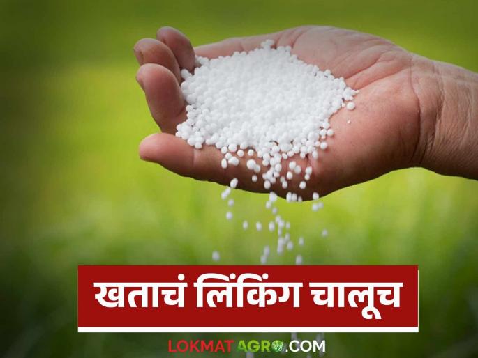 If you want urea, you will have to buy these fertilizers; Linking of fertilizers will not be stopped at any cost | युरिया पाहिजे तर ही खते घ्यावी लागतील; खतांचे लिंकिंग काही केल्या थांबेना If you want urea, you will have to buy these fertilizers; Linking of fertilizers will not be stopped at any cost | युरिया पाहिजे तर ही खते घ्यावी लागतील; खतांचे लिंकिंग काही केल्या थांबेना