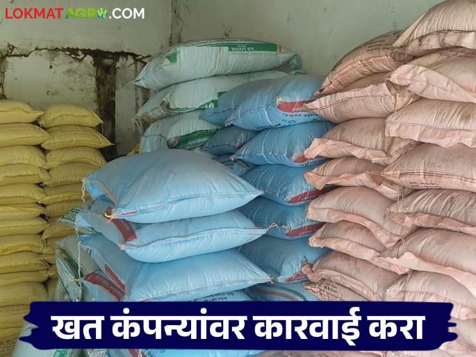 Why are fertilizer companies forcing linking being left out? Why is no action taken against them? | खताच्या कंपन्या लिंकिंगची सक्ती करतात त्यांना का सोडता? त्यांच्यावर कारवाई का नाही?