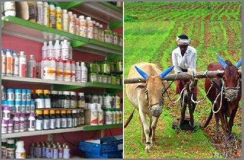 33 licenses suspended for selling fertilizer without license in Sangli | Agriculture Sector Sangli : सांगलीत विनापरवाना व जादा दराने खत विक्रीबद्दल ३३ परवाने निलंबित