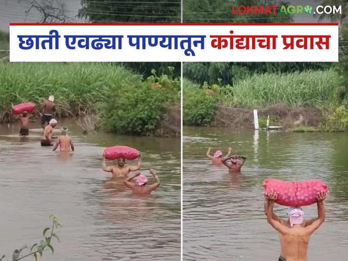 Onions stored in the kanda chal transport through human labor in the full of water; this year got good market? | छाती एवढ्या पाण्यातून कांदा आणला विक्रीला; यंदा तरी आमच्या कष्टाचं सोनं होणार का?