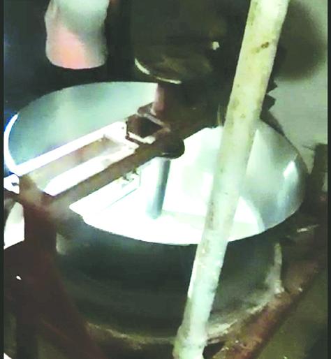 Four kg of buffaloes for cowpea and one and a half gallons of cowpea | एक किलो पेढ्याच्या खव्यासाठी म्हशीचे चार तर गायीचे साडेपाच लिटर लागते दूध Four kg of buffaloes for cowpea and one and a half gallons of cowpea | एक किलो पेढ्याच्या खव्यासाठी म्हशीचे चार तर गायीचे साडेपाच लिटर लागते दूध