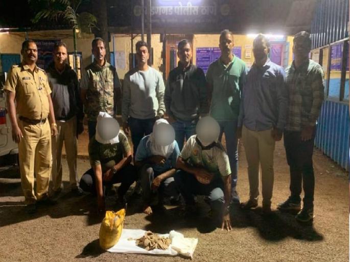 scaly cat scaly seizure, Police detained three people in Mandangad | Ratnagiri Crime: खवले मांजराची खवले जप्त, मंडणगडात पोलिसांनी तिघांना घेतले ताब्यात; एकजण फरार scaly cat scaly seizure, Police detained three people in Mandangad | Ratnagiri Crime: खवले मांजराची खवले जप्त, मंडणगडात पोलिसांनी तिघांना घेतले ताब्यात; एकजण फरार