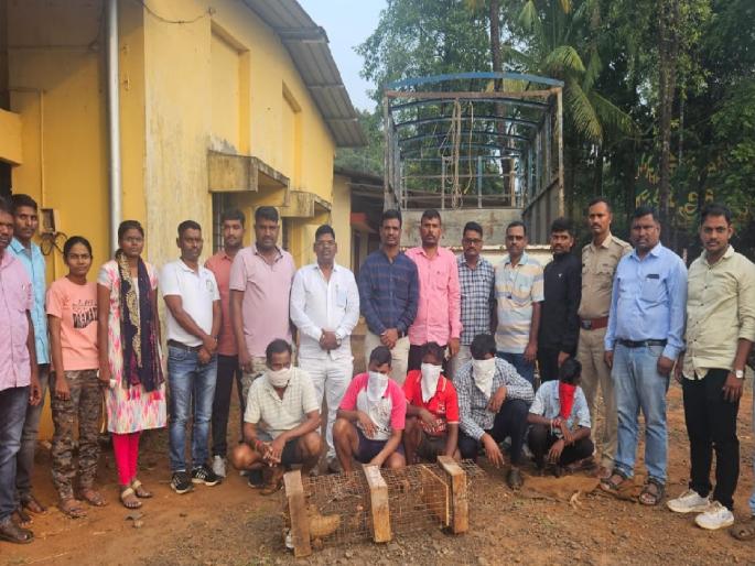Forest department officials arrested five people who were trying to smuggle and sell scaly cats from Wargaon | Sindhudurg: खवले मांजर विक्रीचा प्रयत्न, एका अल्पवयीनासह पाच जण ताब्यात Forest department officials arrested five people who were trying to smuggle and sell scaly cats from Wargaon | Sindhudurg: खवले मांजर विक्रीचा प्रयत्न, एका अल्पवयीनासह पाच जण ताब्यात