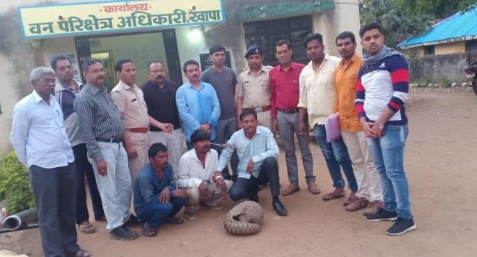 Three arrested for selling pangolin | खवले मांजराची विक्री करणाऱ्या तिघांना अटक