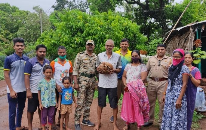 The scaly cats found at Surjekot were released into the natural habitat | सर्जेकोट येथे सापडलेल्या खवले मांजराला सोड़ले नैसर्गिक अधिवासात