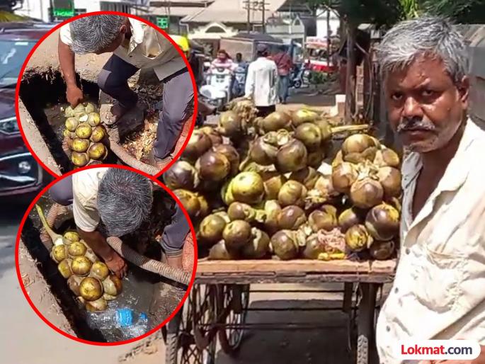 Crime against migrant seller who washed palm kernels in a drain in Khed | VIDEO: परप्रांतीय विक्रेत्याने गटारात धुतले ताडगोळे; खेडमधील किळसवाणा प्रकार Crime against migrant seller who washed palm kernels in a drain in Khed | VIDEO: परप्रांतीय विक्रेत्याने गटारात धुतले ताडगोळे; खेडमधील किळसवाणा प्रकार