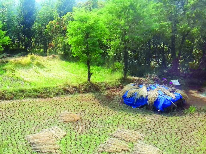 Loss of crores of water to the farmers of the village | खेडमधील शेतकऱ्यांची पावणेसात कोटींची हानी Loss of crores of water to the farmers of the village | खेडमधील शेतकऱ्यांची पावणेसात कोटींची हानी