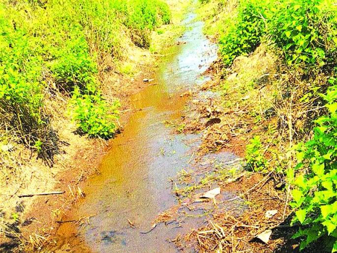 Lokmat Impact - Water coming from the village of Veholi village | लोकमत इम्पॅक्ट - वेहळोली गावातील शेतीला आले पाणी Lokmat Impact - Water coming from the village of Veholi village | लोकमत इम्पॅक्ट - वेहळोली गावातील शेतीला आले पाणी