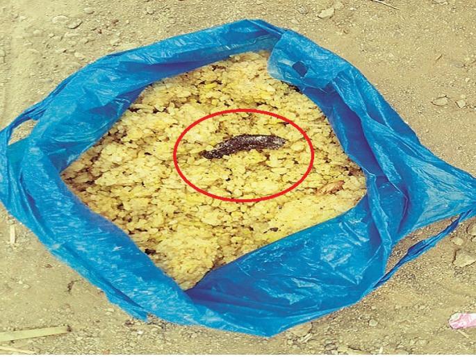 Head Master suspended in snake cooked in mid day meal case; The woman cook also been reduced to work | खिचडीत साप प्रकरणी अखेर मुख्याध्यापक निलंबित; स्वयंपाकीन महिलेसही कामावरून केले कमी Head Master suspended in snake cooked in mid day meal case; The woman cook also been reduced to work | खिचडीत साप प्रकरणी अखेर मुख्याध्यापक निलंबित; स्वयंपाकीन महिलेसही कामावरून केले कमी