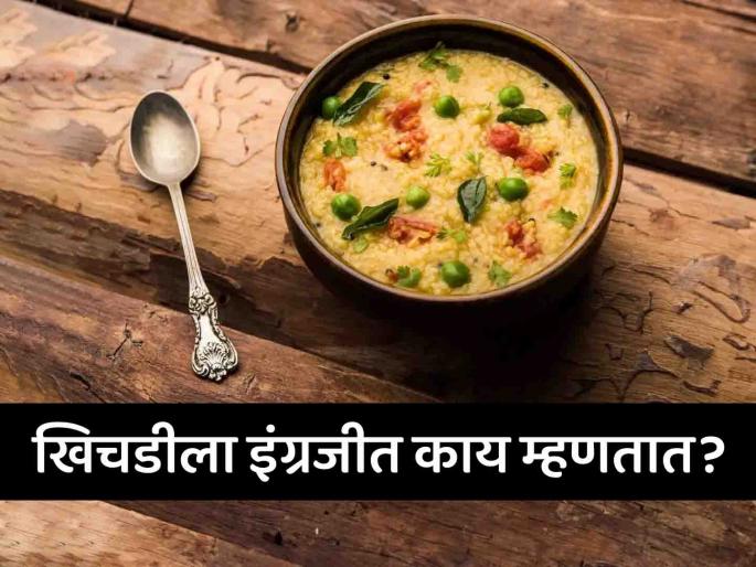 What is Khichdi called in English? Know the answer | खिचडीला इंग्रजीत काय म्हणतात? तुम्हालाही नसेल माहीत उत्तर... What is Khichdi called in English? Know the answer | खिचडीला इंग्रजीत काय म्हणतात? तुम्हालाही नसेल माहीत उत्तर...