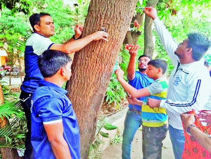 Tree-lover | खिळेमुक्तीसाठी सरसावले वृक्षप्रेमी