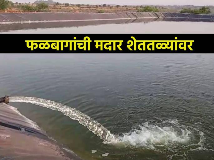 Bottom reached by wells with borewells, farmers on farms to irrigate orchards | बोअरवेलसह विहिरीने गाठला तळ, फळबागांना पाणी देण्यासाठी शेतकऱ्यांची शेततळ्यांवर मदार Bottom reached by wells with borewells, farmers on farms to irrigate orchards | बोअरवेलसह विहिरीने गाठला तळ, फळबागांना पाणी देण्यासाठी शेतकऱ्यांची शेततळ्यांवर मदार