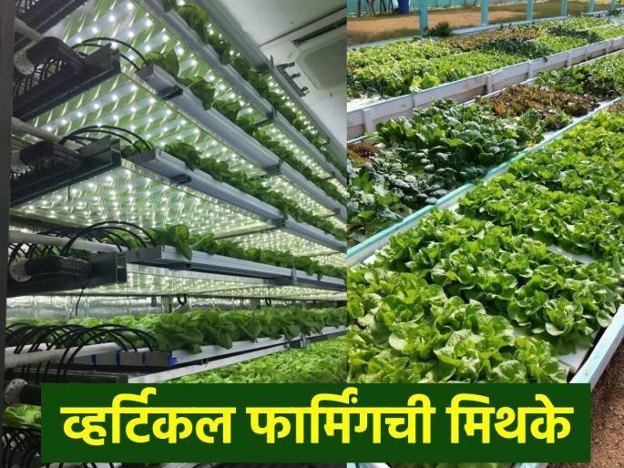 Verticle farming: These three myths about vertical farming are debunked by experts | Verticle farming: व्हर्टिकल फार्मिंगविषयी असणाऱ्या या तीन मिथकांचे करण्यात आले तज्ञांकडून खंडण Verticle farming: These three myths about vertical farming are debunked by experts | Verticle farming: व्हर्टिकल फार्मिंगविषयी असणाऱ्या या तीन मिथकांचे करण्यात आले तज्ञांकडून खंडण