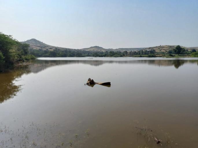 lack of rain khor village buy water daund | दौंड: पाऊस न पडल्याने खोर परिसरात पाणी विकत घेण्याची आली वेळ, शेतकरी हतबल