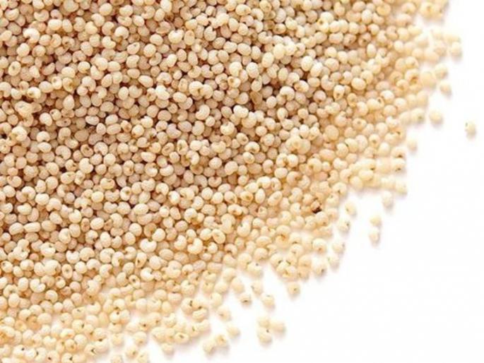 poppy seeds are extremely beneficial in weight loss or to loose weight | 'हा' पदार्थ वापरुन झटपट कमी करु शकता तुम्ही वजन, फुलांपासून मिळतो अन् फायदे भरपूर poppy seeds are extremely beneficial in weight loss or to loose weight | 'हा' पदार्थ वापरुन झटपट कमी करु शकता तुम्ही वजन, फुलांपासून मिळतो अन् फायदे भरपूर