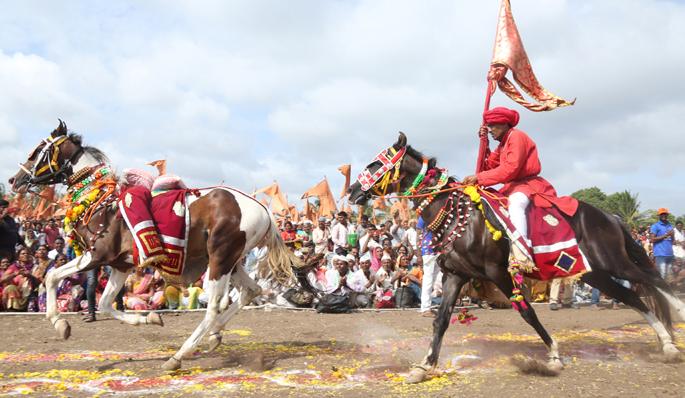The fires of the three fishes completed by the Ashwani | अश्वांनी पूर्ण केल्या तीन फेºया अन् माऊलींच्या गजरानं दुमदुमला आसमंत The fires of the three fishes completed by the Ashwani | अश्वांनी पूर्ण केल्या तीन फेºया अन् माऊलींच्या गजरानं दुमदुमला आसमंत