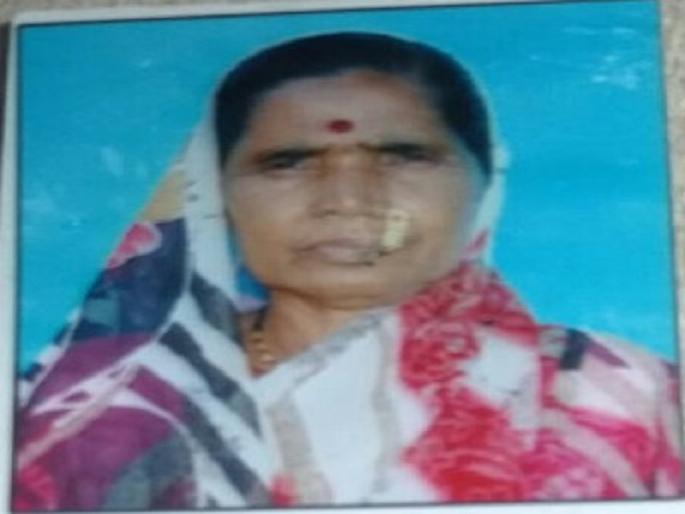 A woman was killed on the spot in bus accident at Khulatabad | खुलताबाद येथे बसच्या धडकेत महिला जागीच ठार A woman was killed on the spot in bus accident at Khulatabad | खुलताबाद येथे बसच्या धडकेत महिला जागीच ठार