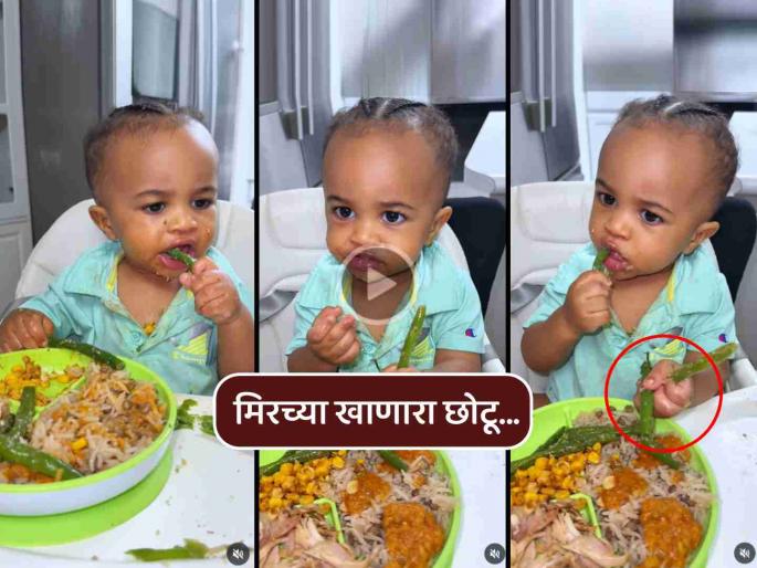 viral video small kid eating green chilies just like normal meal trending on social media | VIDEO: बापरे... चिमुरड्याने बसल्या बैठकीला कचाकचा खाल्ल्या हिरव्या मिरच्या, नेटकरीही थक्क