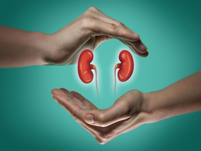 Waiting for kidney transplant in government hospital will end | शासकीय रुग्णालयाची किडनी प्रत्यारोपणाची प्रतिक्षा संपणार Waiting for kidney transplant in government hospital will end | शासकीय रुग्णालयाची किडनी प्रत्यारोपणाची प्रतिक्षा संपणार
